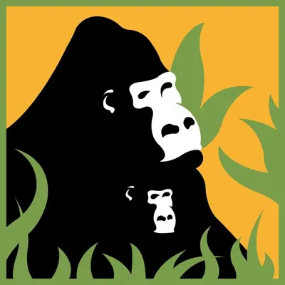 The Dian Fossey Gorilla Fund profile