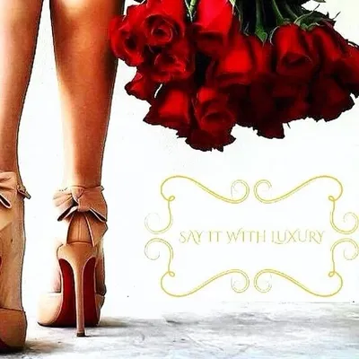 🌹 SWL ❤️ profile