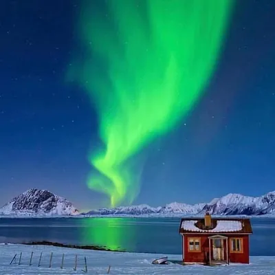 Scandinavia Traveler profile