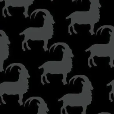 Scapegoat Racing profile