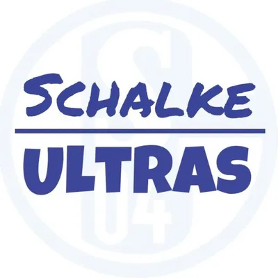 Schalke 04⚪️💙| Bilder📸|Videos🎥 profile