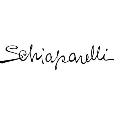 Schiaparelli profile