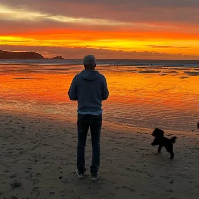 Phillip Schofield profile