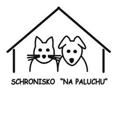 Schronisko na Paluchu profile