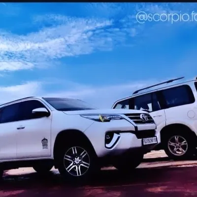 Scorpio.Fortuner profile