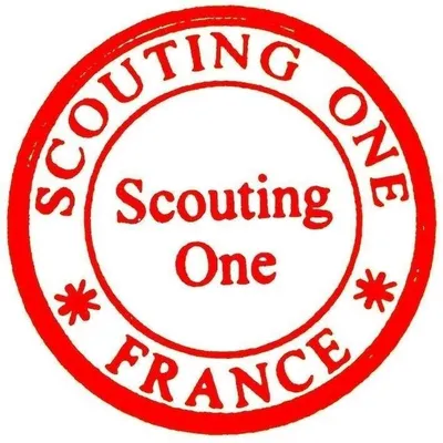 Scouting One Model profile