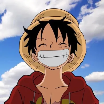 Daily memes profile