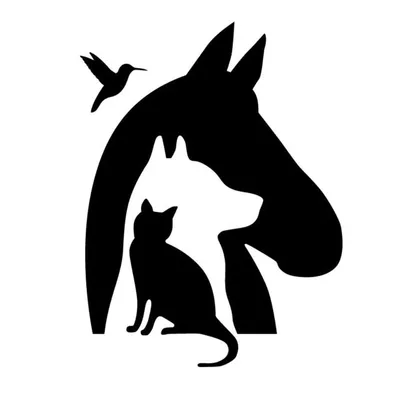 San Diego Humane Society profile