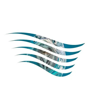 Sea Life Tour ™ profile