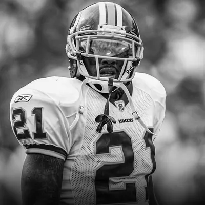 Sean Taylor profile