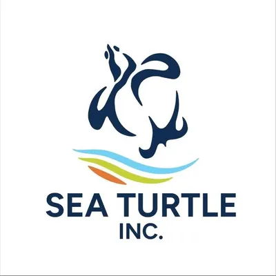 Sea Turtle, Inc. profile