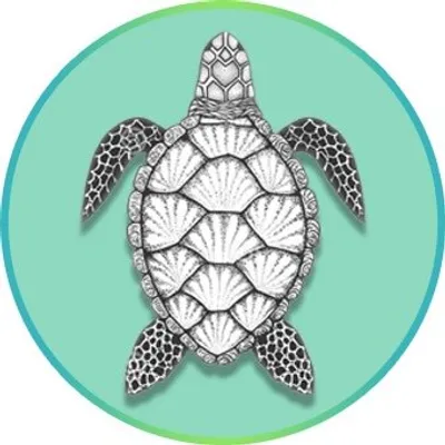 Sea Turtles Lovers ๐ profile