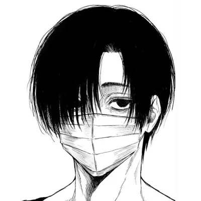 セビ profile