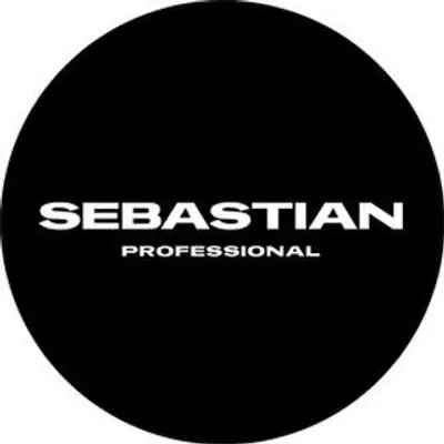 Sebastian Professional profile