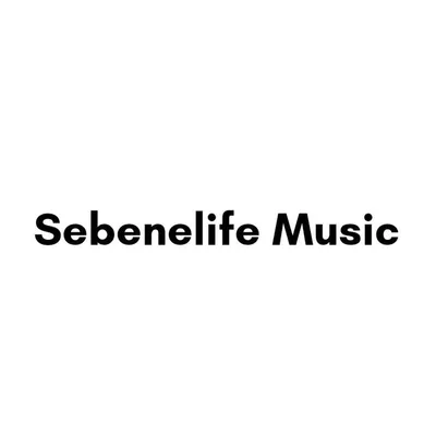 SebeneLife Music ๐ profile