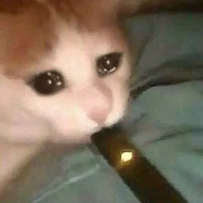 refrigerator profile