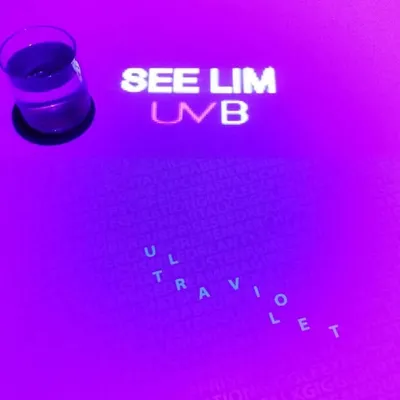 See Lim 🇺🇲🇹🇼 Eats in Taipei, LA, & Vegas 住台北、洛杉磯、拉斯維加斯的美食生活 profile