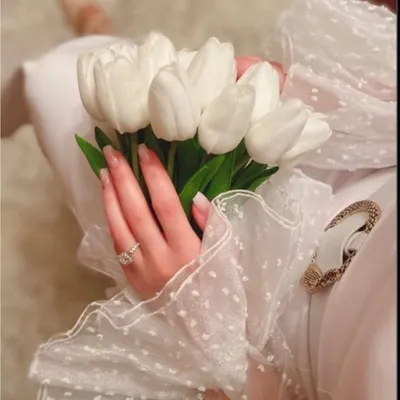 SEHAM AHMED ๐น profile