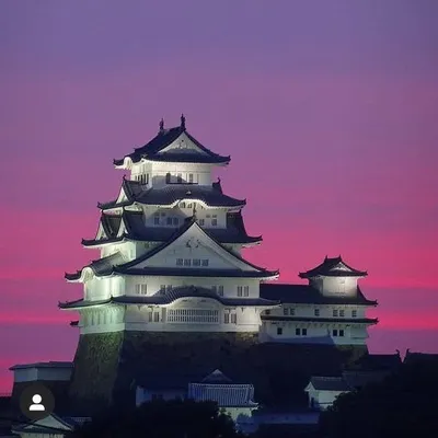 See JPN profile