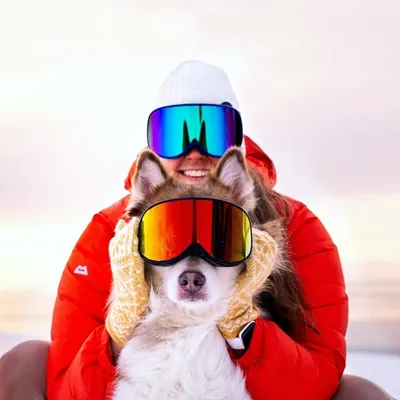Cecilia Blomdahl ✘ Svalbard profile