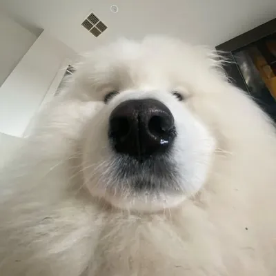 Selby profile