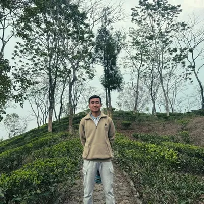 alish rai's arts profile