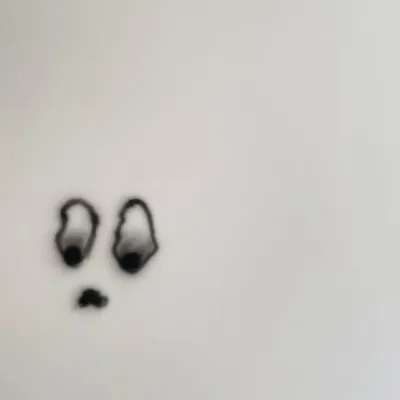 🥚 profile