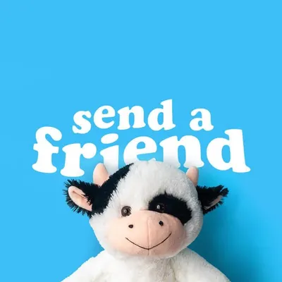 SendAFriend ✨ profile