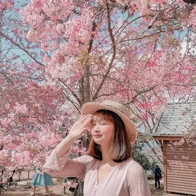 𓃟🇹🇼曾貢貢🍡台中美食 桃園美食 育兒日常👶 profile