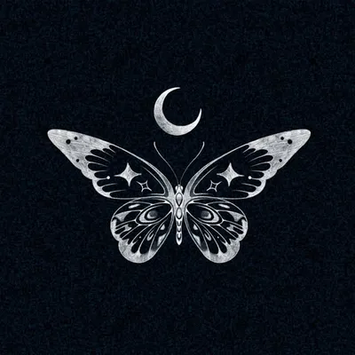 sᴇʀᴀᴘʜɪɴᴀ ✧ ᴛᴀᴛᴛᴏᴏ profile