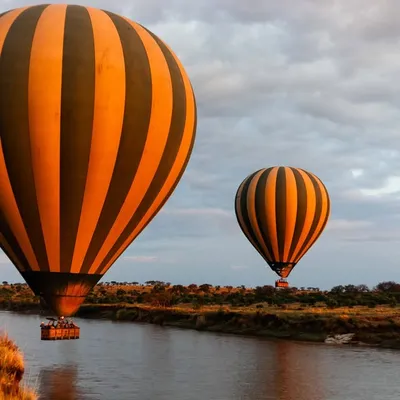 Serengeti Balloon Safaris profile