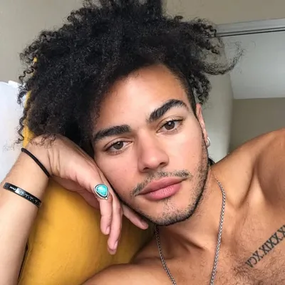 Sergio D'arcy Lane profile