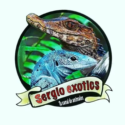 Canal SergioExotics profile
