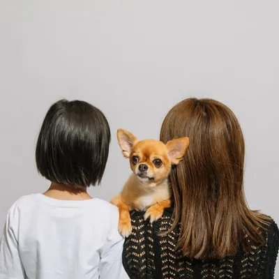 瀬戸サオリ profile