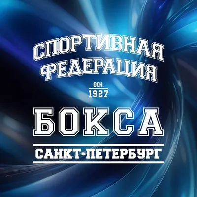 Спортивная Федерация Бокса СПб profile