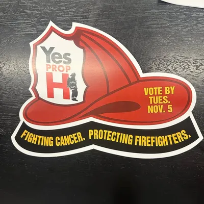 SFFF LOCAL 798 profile
