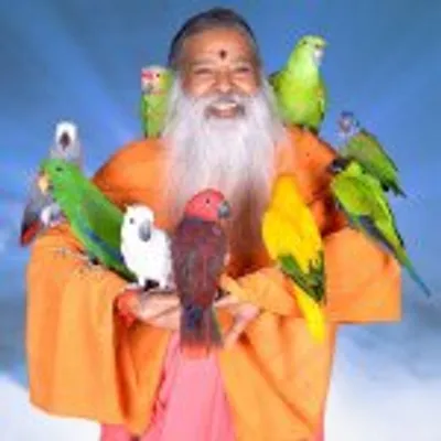 SGS Birds profile