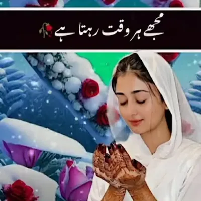 shaahin Mulla Ansari profile