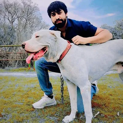 Shadab Khan profile