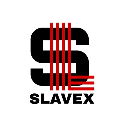 SLAVEX profile