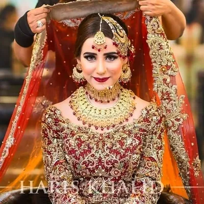SHADI TRENDS profile