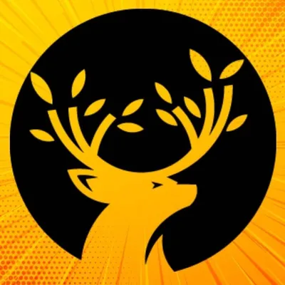 Amir profile