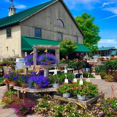 Shady Brook Farm profile