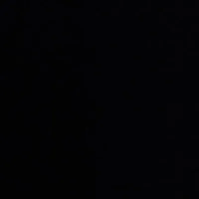 شقایق فراهانی profile