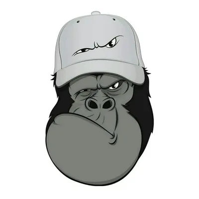 شهر بوق profile