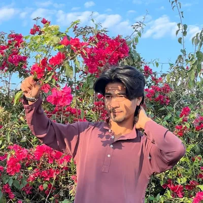 ♨️شعیب شیخ♨️ profile