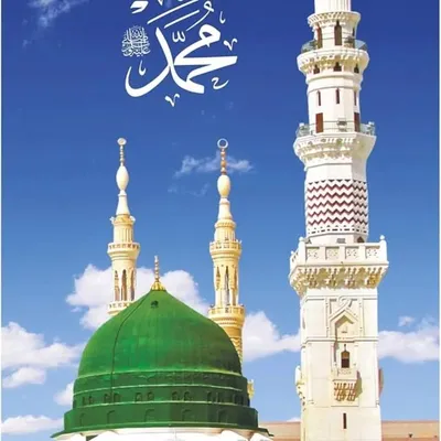 Shaikh Tabbii profile