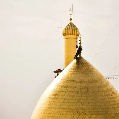 Farid Shaikh profile
