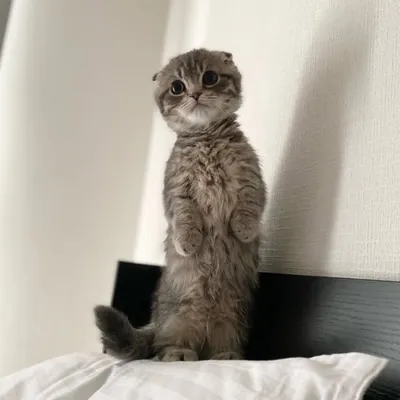 ใใใ๐ profile