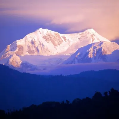 Shakti Himalaya, India profile